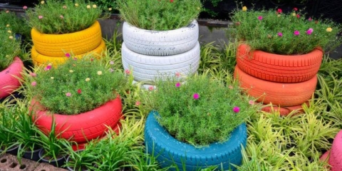 Kako i kako slikati gume za cvjetnjak: zanimljive dizajnerske ideje + fotografije